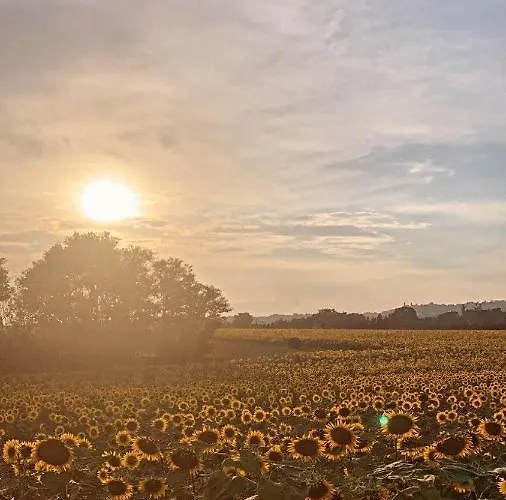 Armonia 3* Montecosaro (Marche)